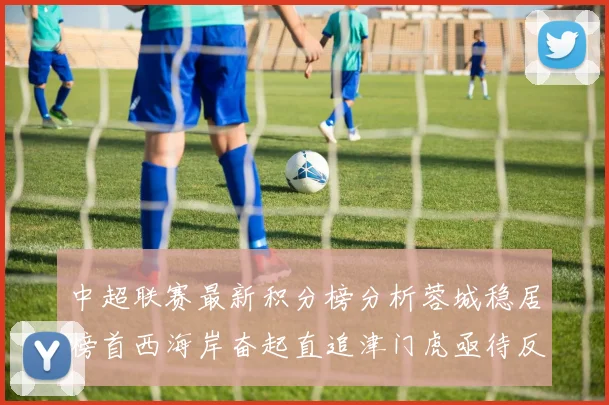 中超联赛最新积分榜分析蓉城稳居榜首西海岸奋起直追津门虎亟待反弹