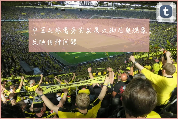 中国足球需务实发展大脚尼奥现象反映何种问题