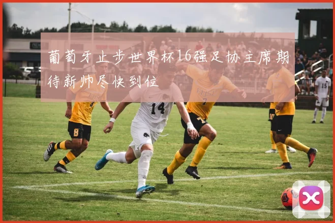 葡萄牙止步世界杯16强足协主席期待新帅尽快到位